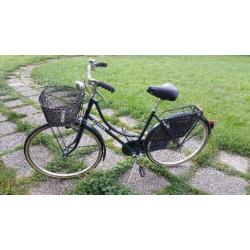 Bicicletta da donna Holland da 26 verde con cesto