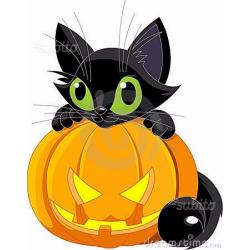 REGALO gattino nero con occhi verdi