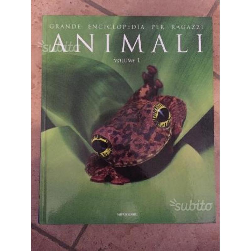 "Grande Enciclopedia per Ragazzi: Animali Volume 1