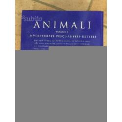 "Grande Enciclopedia per Ragazzi: Animali Volume 1